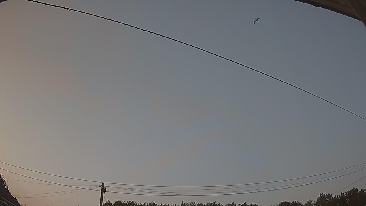 20260720_202144_cam2.jpg