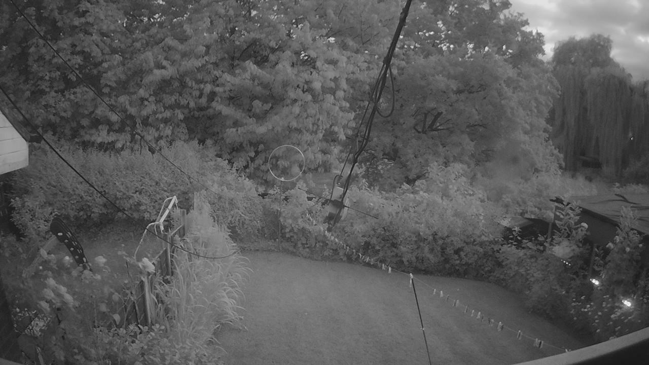 20260721_205506_cam1.jpg
