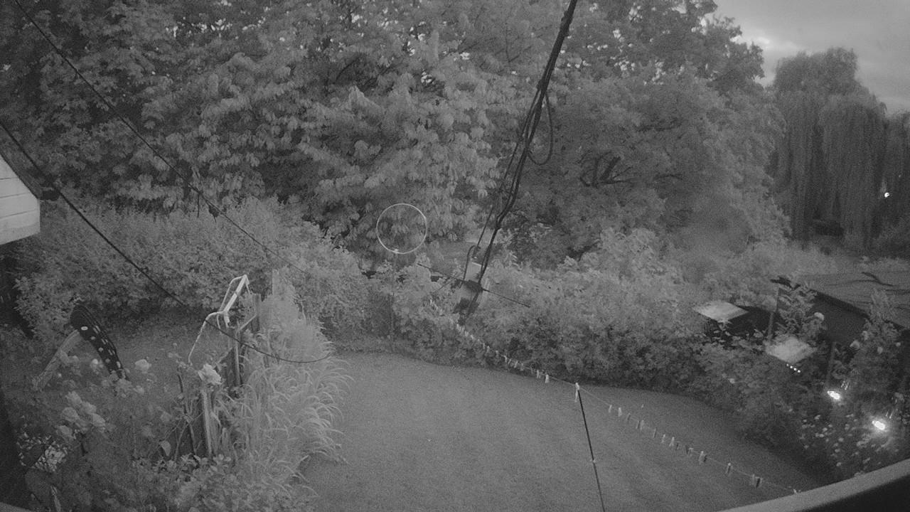20260721_210119_cam1.jpg