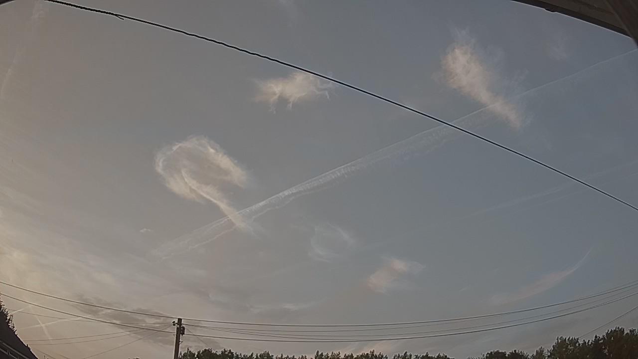 20260722_195930_cam2.jpg