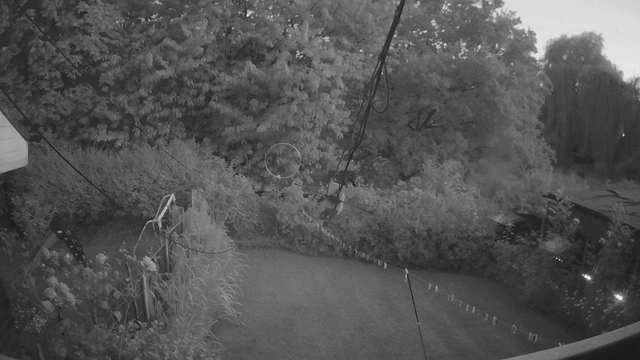 20260722_205313_cam1.jpg