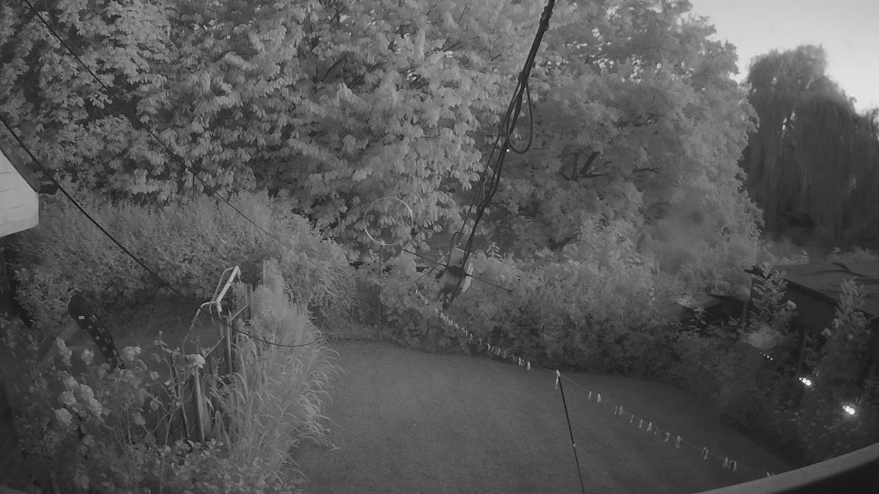 20260723_205727_cam1.jpg
