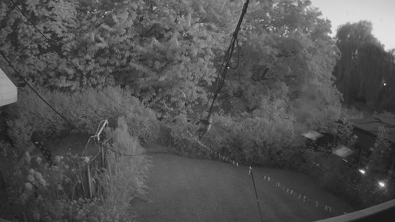 20260723_210135_cam1.jpg