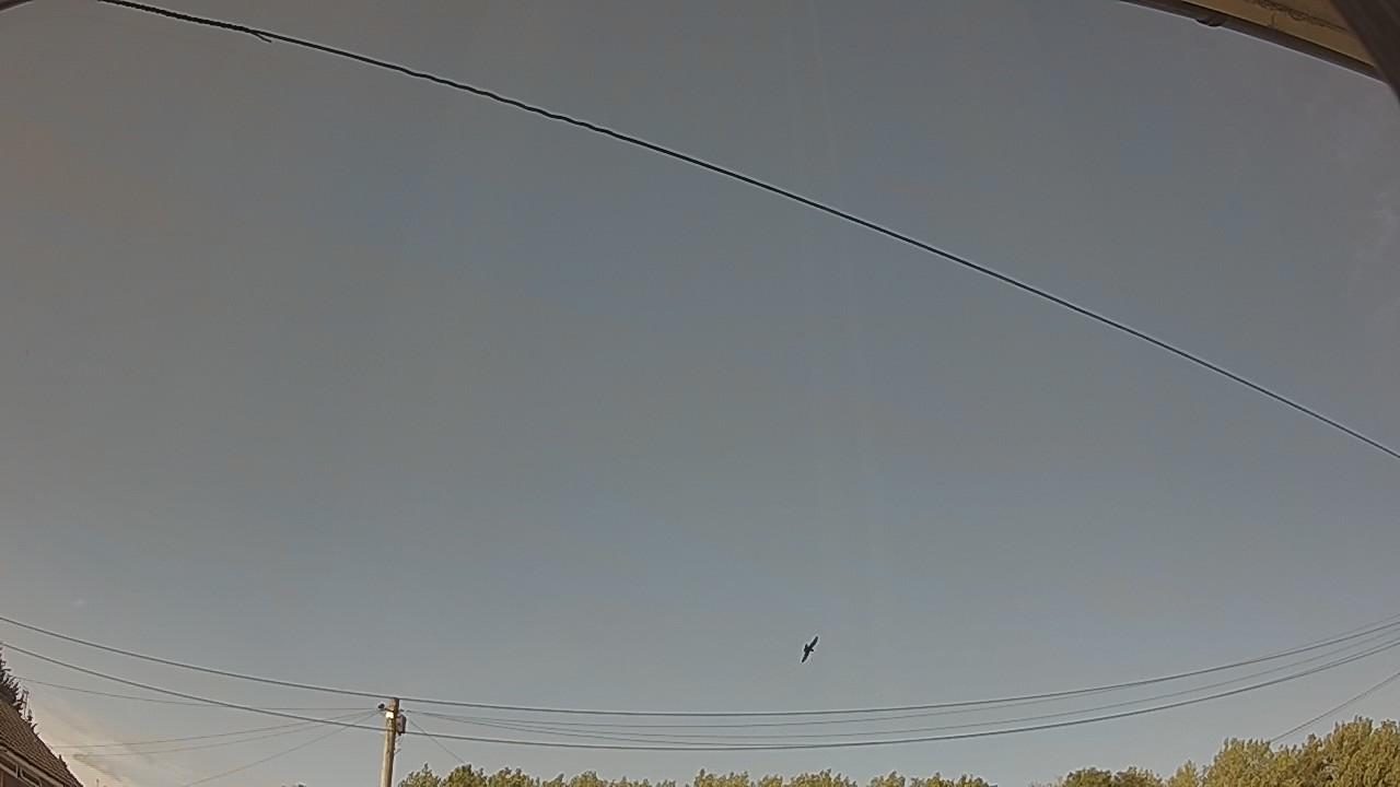 20260724_165515_cam2.jpg