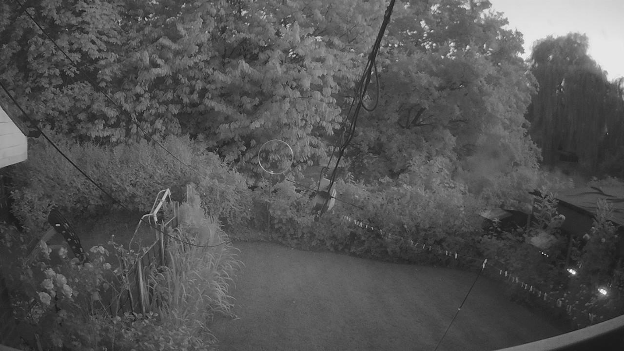 20260724_205110_cam1.jpg