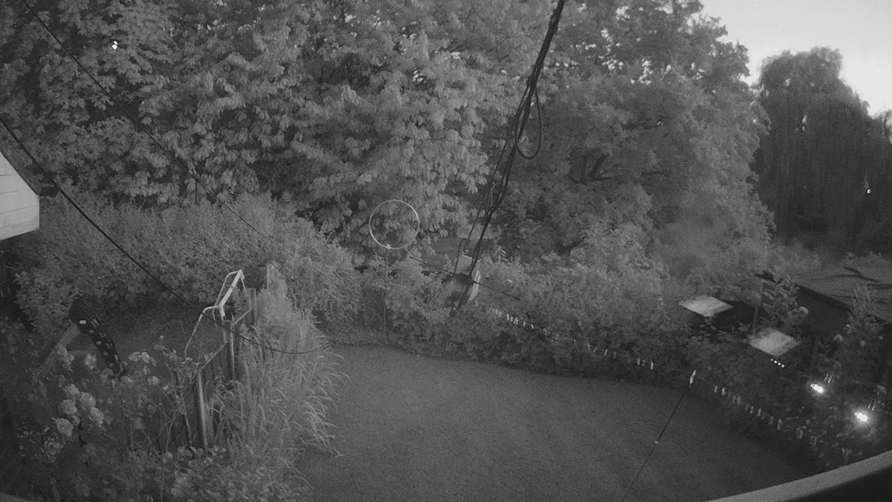 20260724_205945_cam1.jpg