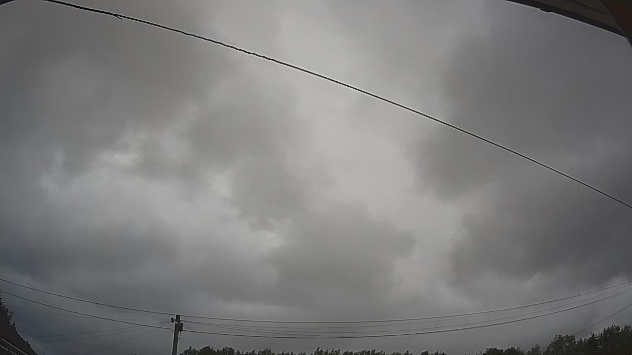 20260725_145051_cam2.jpg