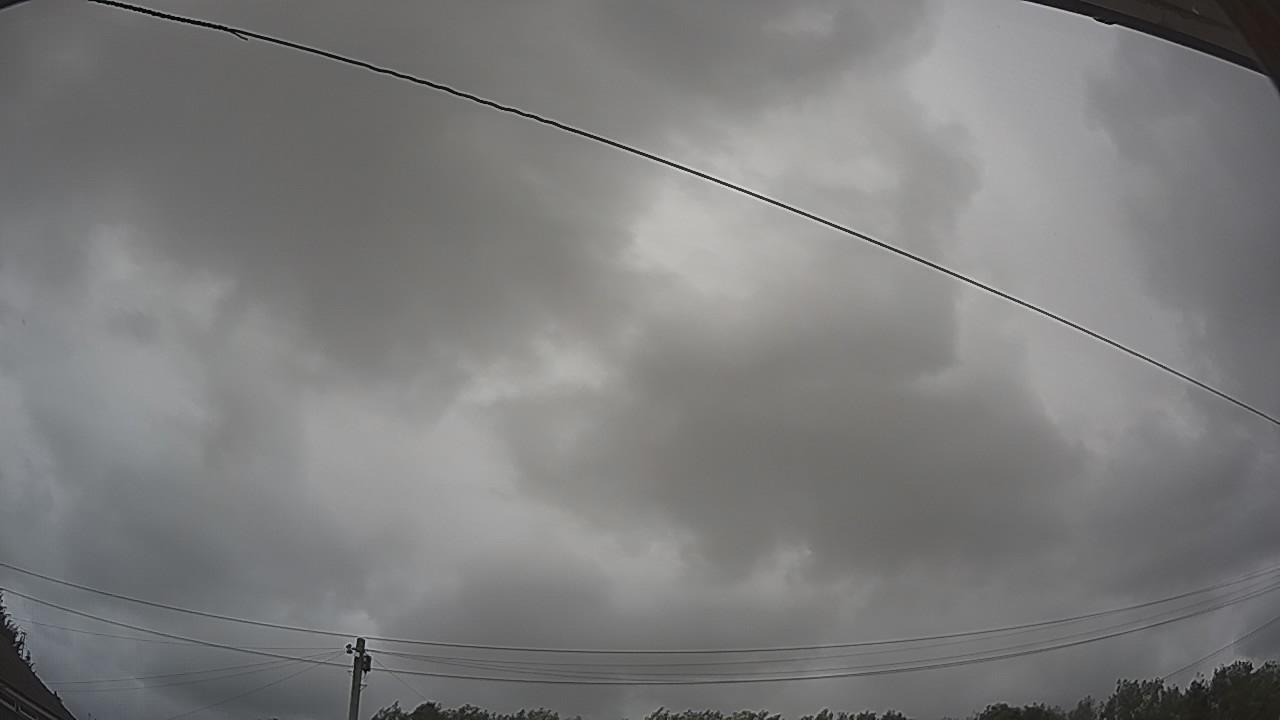 20260725_145551_cam2.jpg
