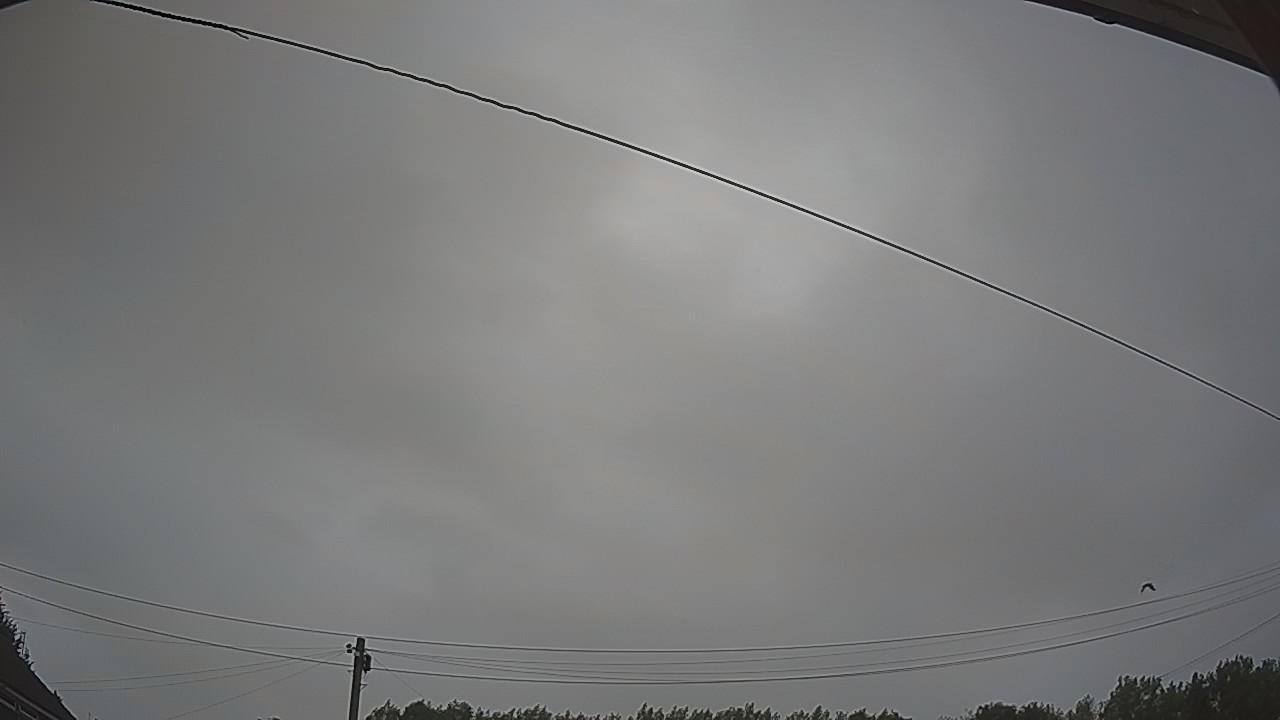 20260725_193429_cam2.jpg