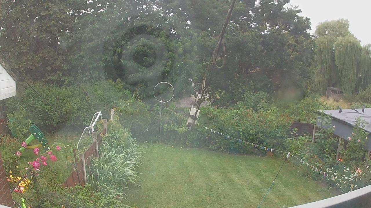 20260725_194152_cam1.jpg