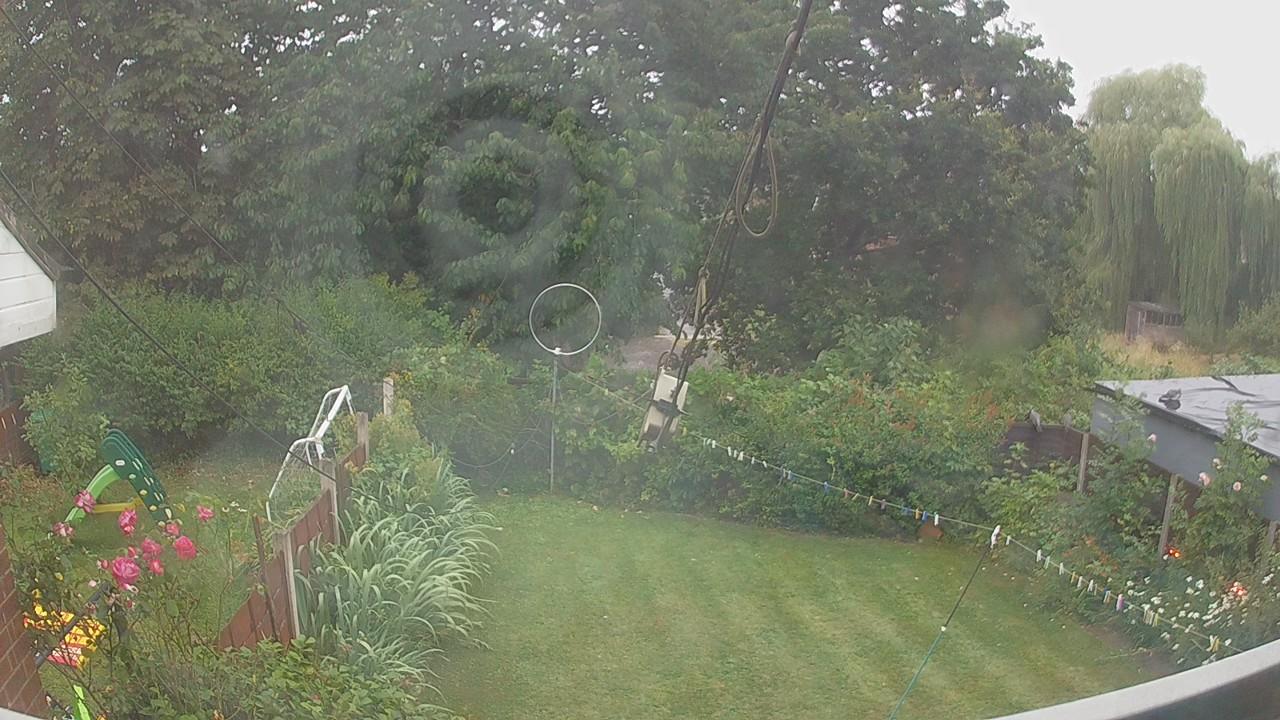 20260725_194534_cam1.jpg