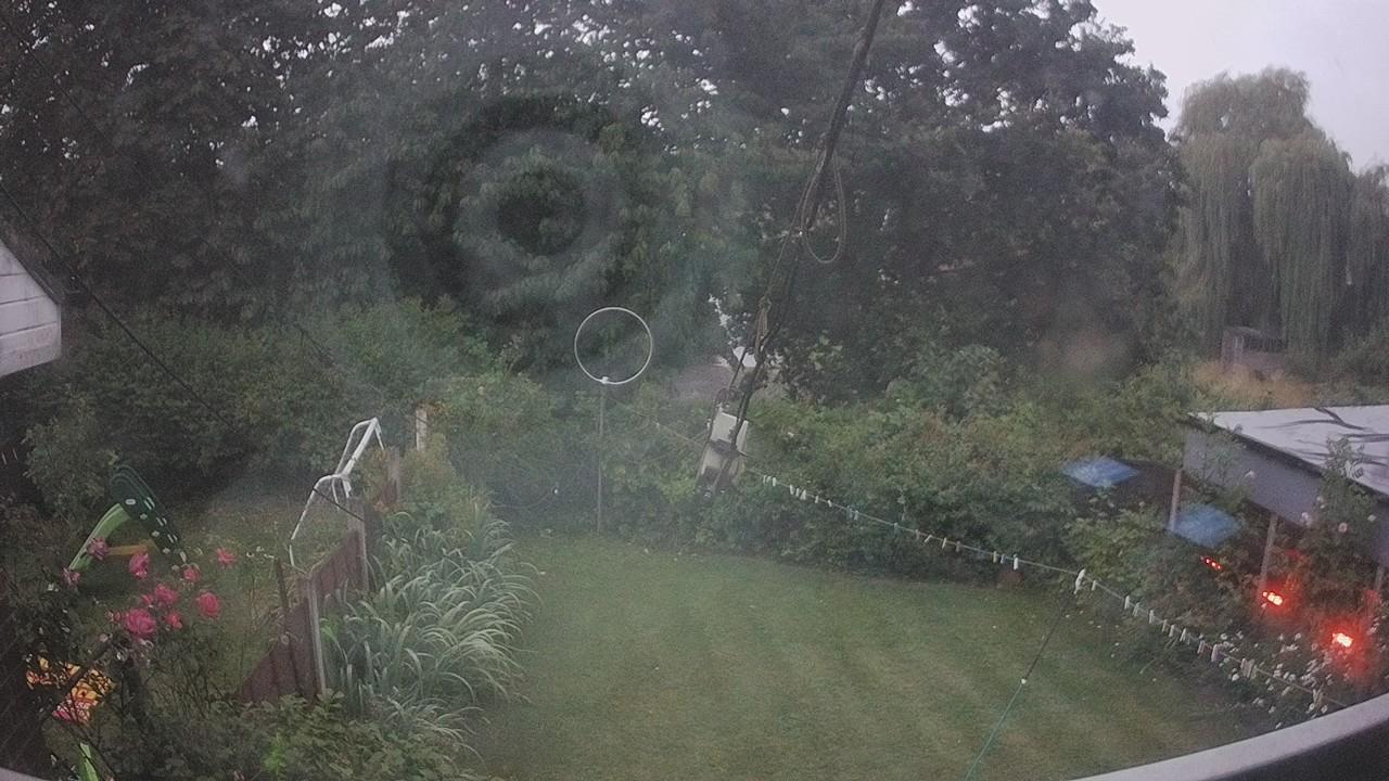 20260725_202900_cam1.jpg