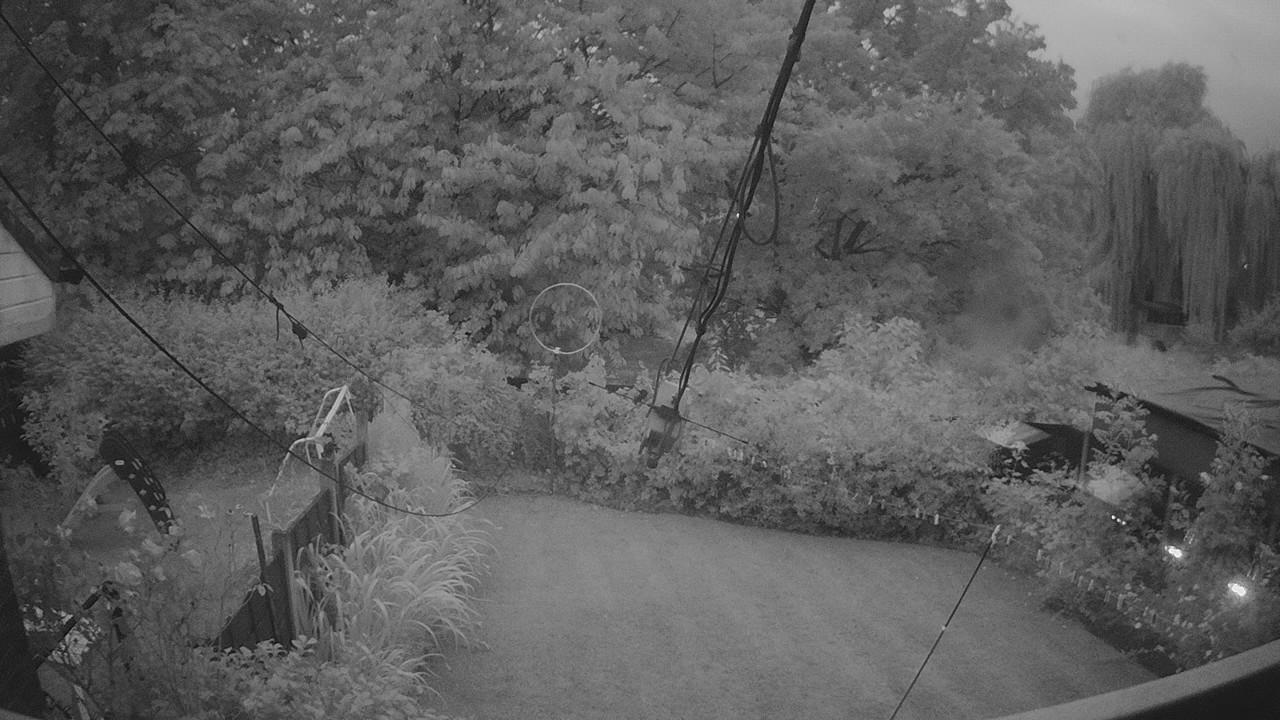 20260725_204612_cam1.jpg