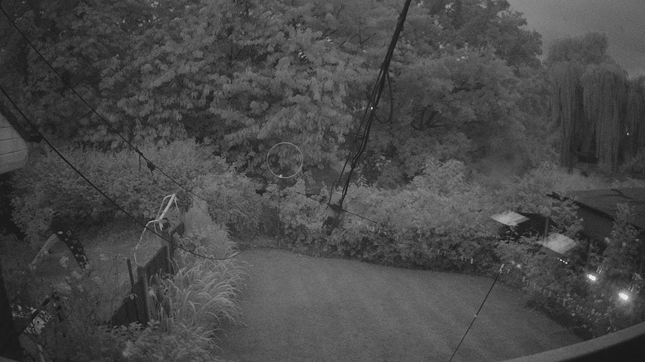 20260725_205030_cam1.jpg