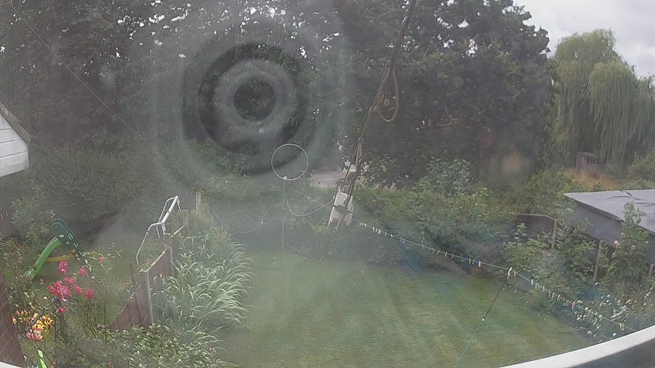 20260726_133646_cam1.jpg