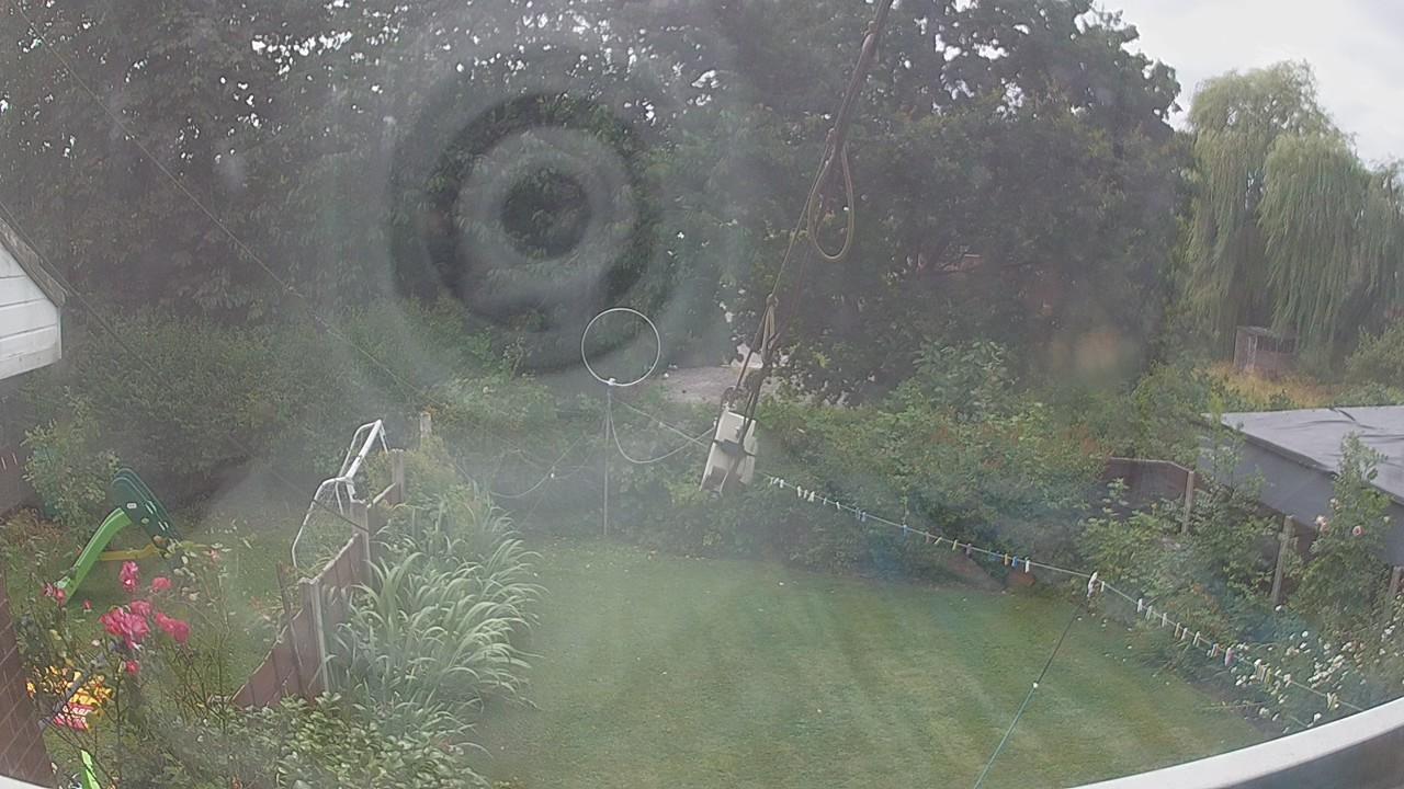20260726_133916_cam1.jpg