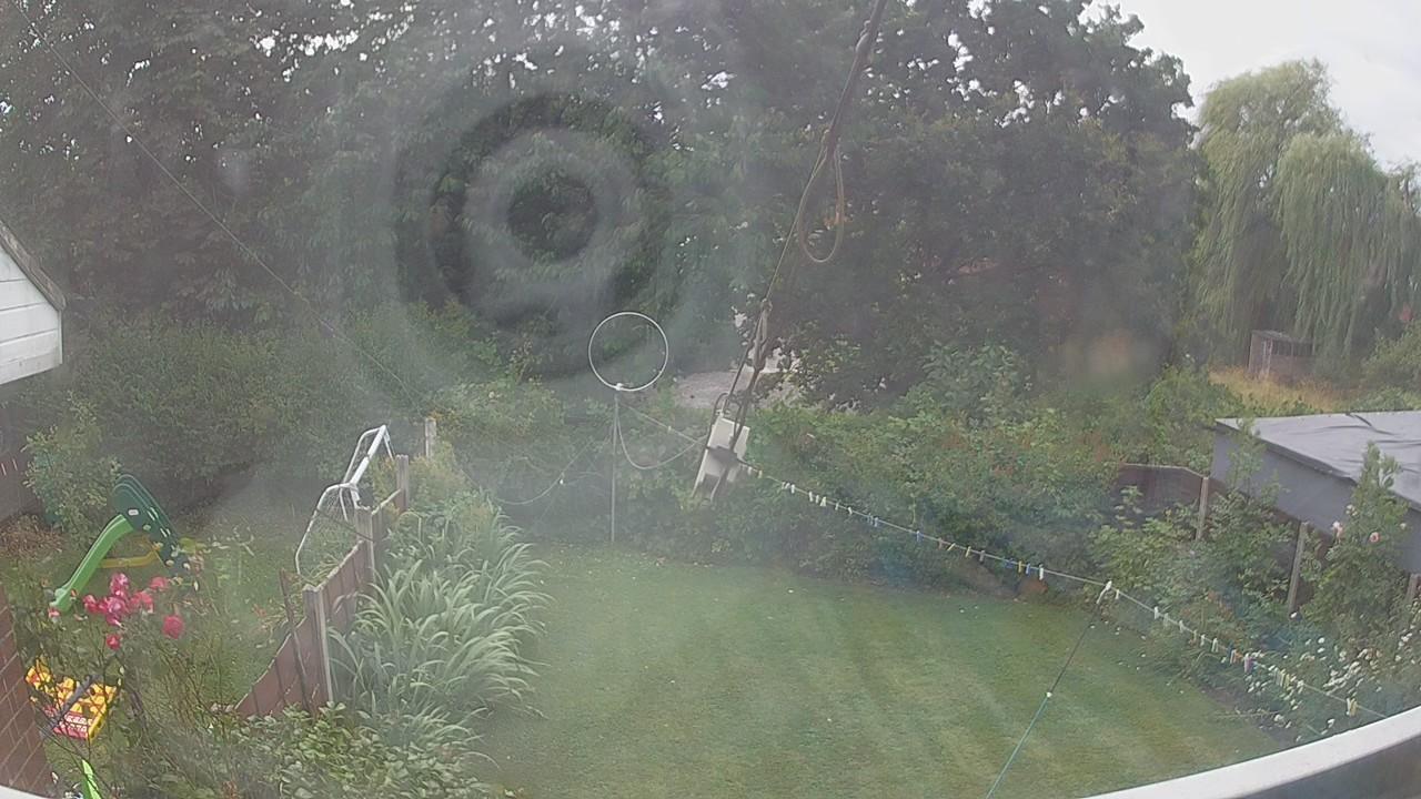 20260726_134146_cam1.jpg