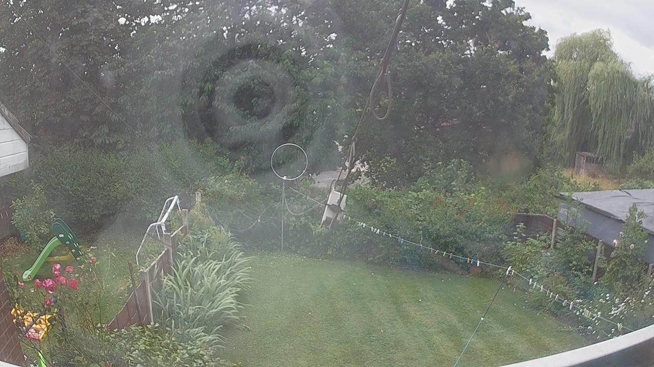 20260726_134916_cam1.jpg