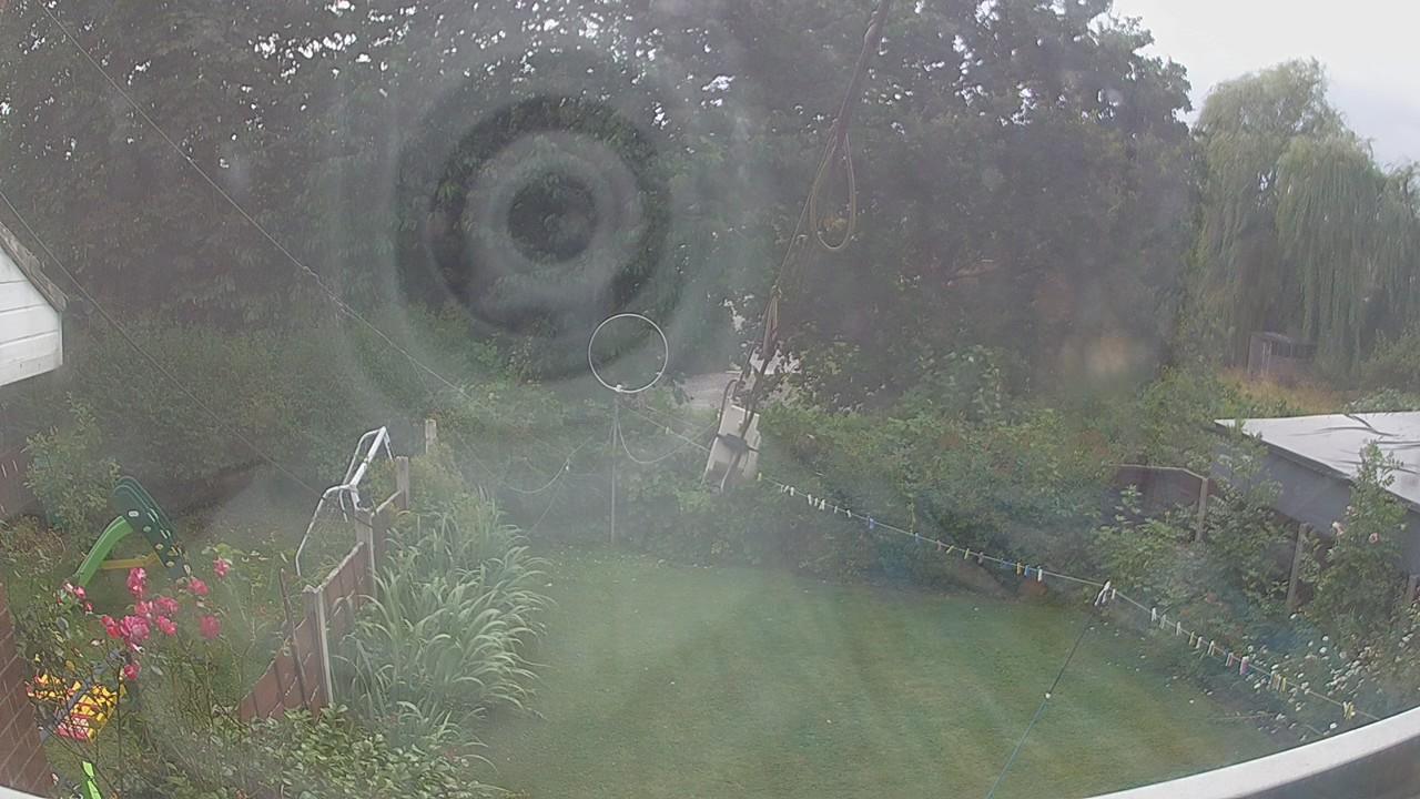 20260726_155446_cam1.jpg