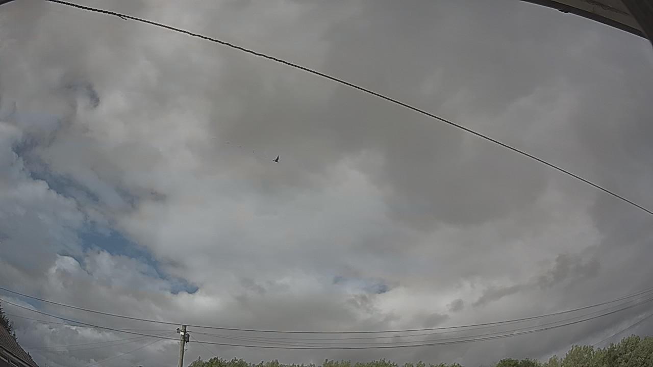 20260726_160748_cam2.jpg