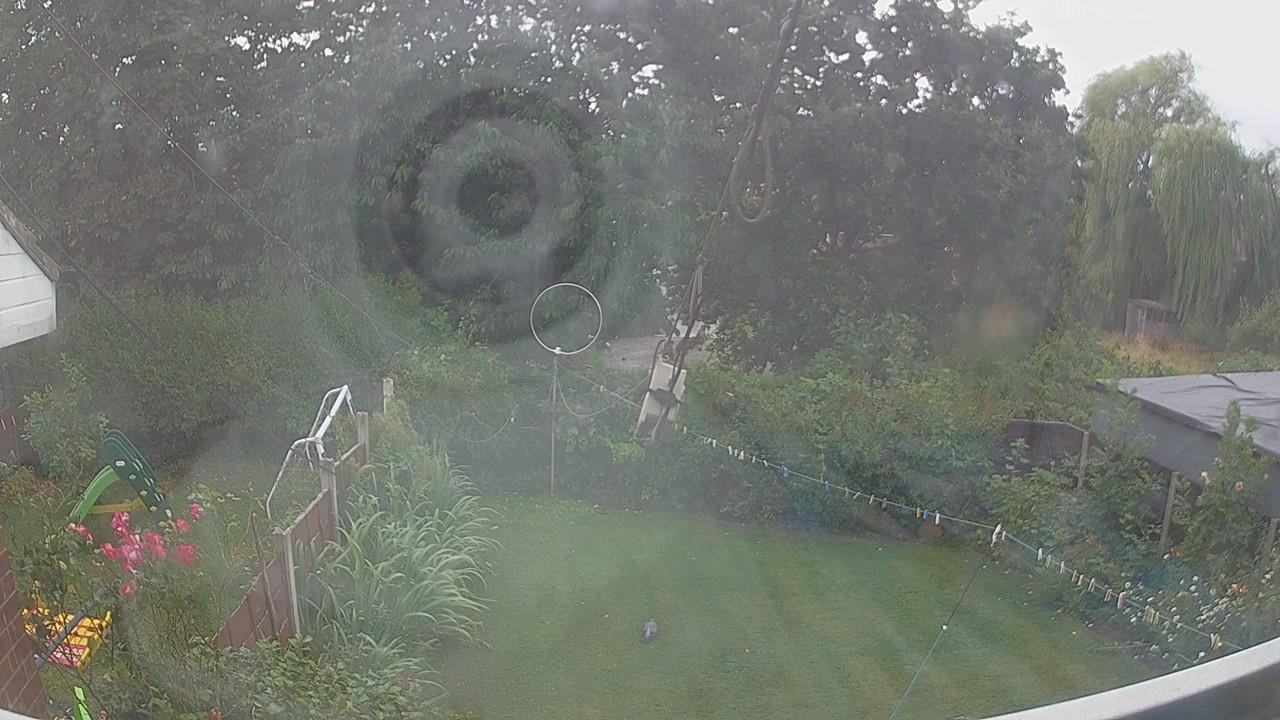 20260726_161734_cam1.jpg