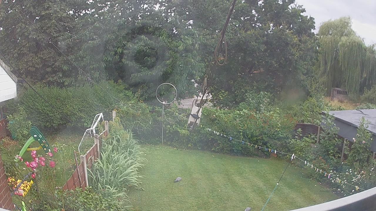 20260726_162049_cam1.jpg