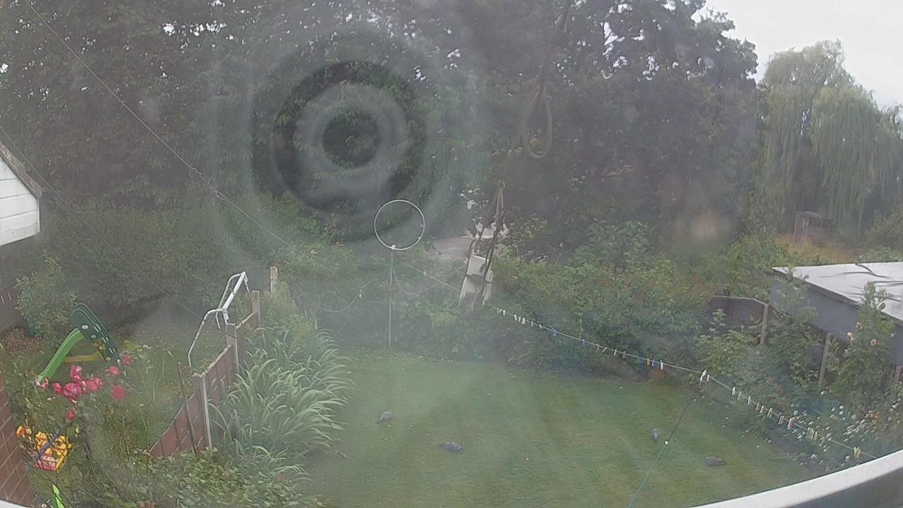 20260726_162719_cam1.jpg