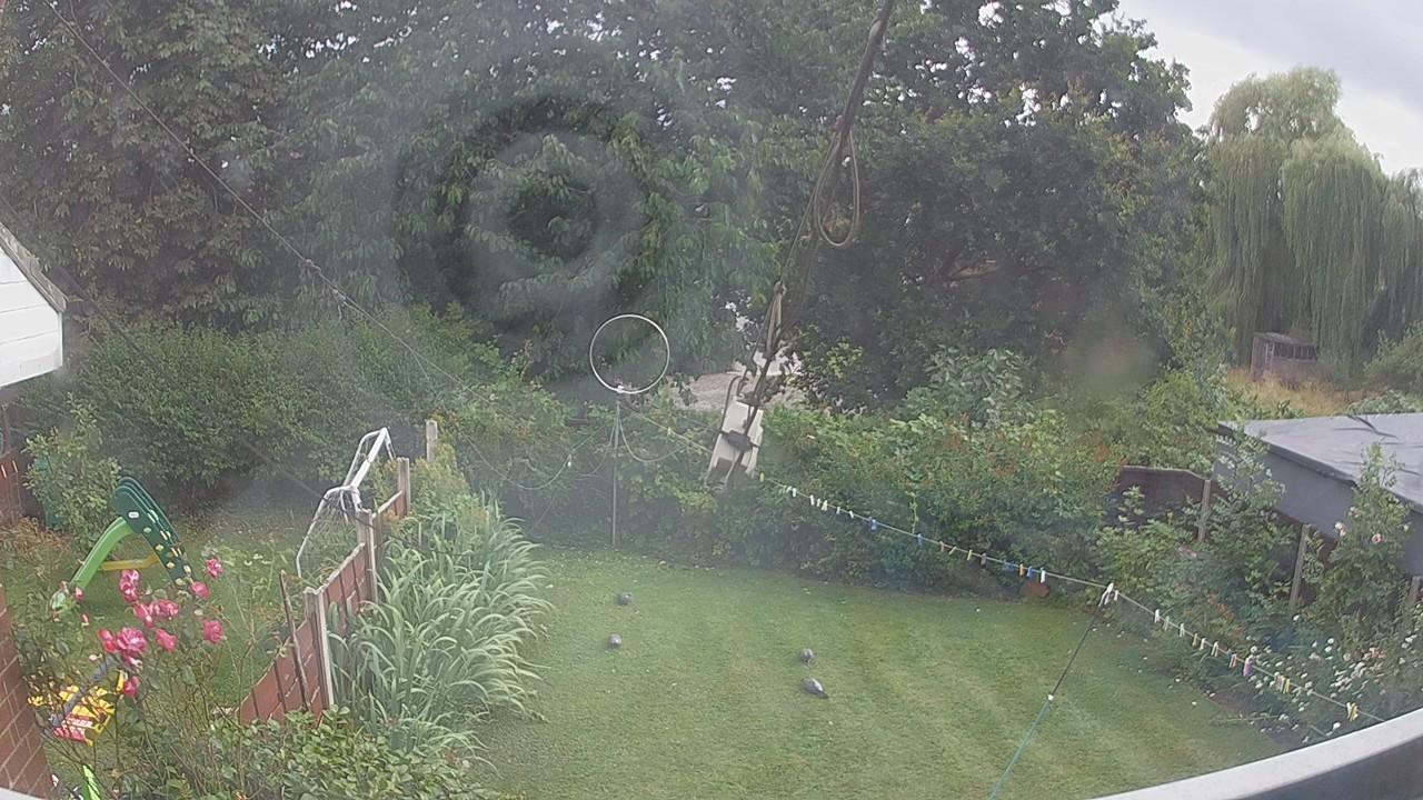 20260726_163638_cam1.jpg