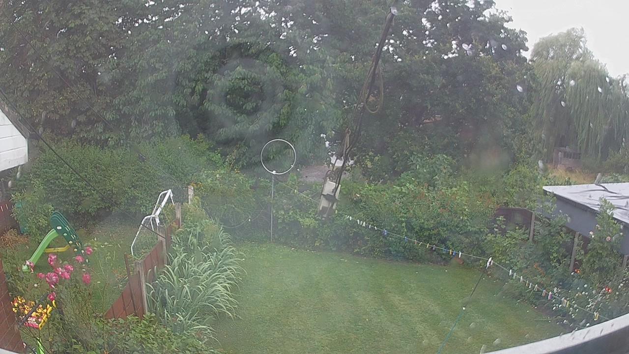 20260726_175239_cam1.jpg