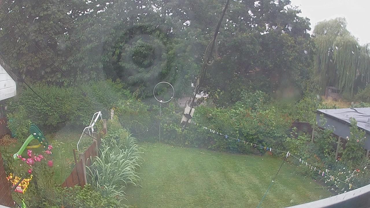 20260726_175527_cam1.jpg