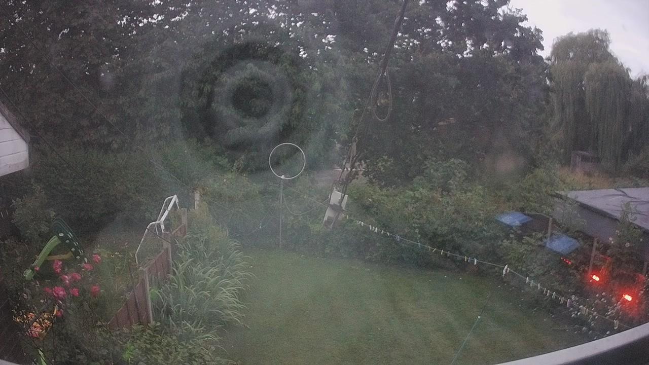 20260726_203054_cam1.jpg