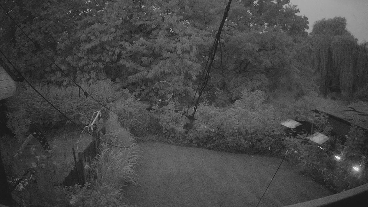 20260726_205055_cam1.jpg