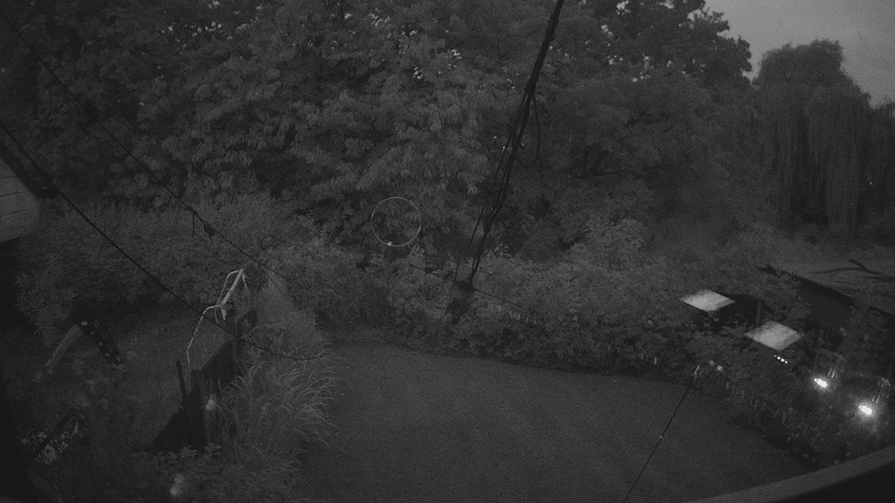 20260726_205455_cam1.jpg