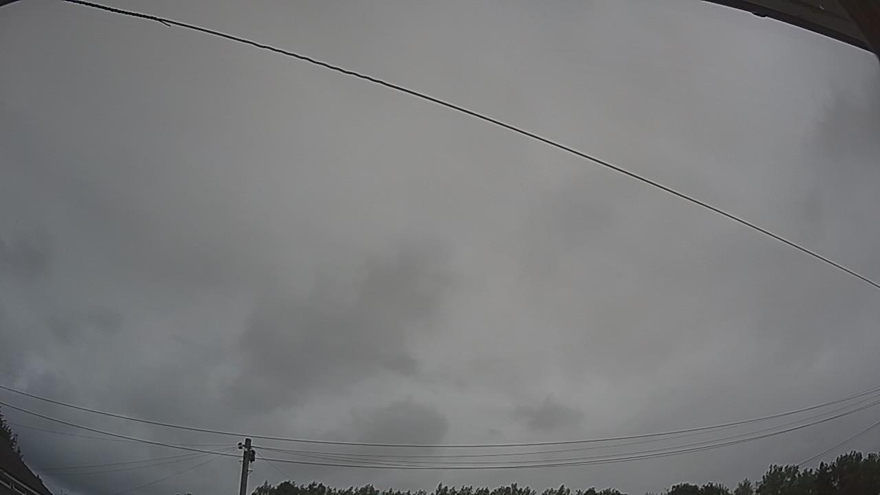 20260727_094549_cam2.jpg