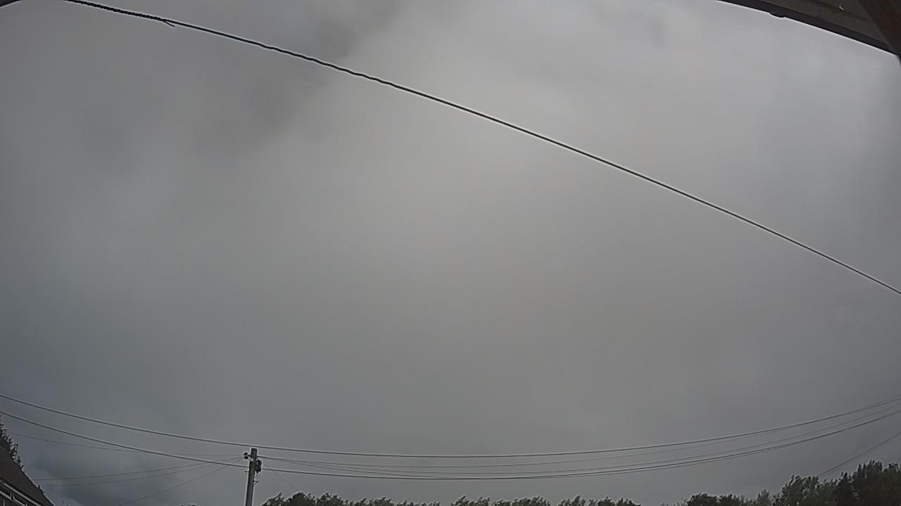 20260727_095412_cam2.jpg