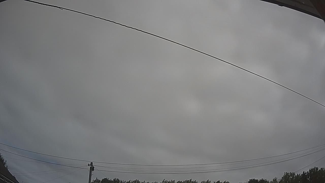 20260727_101145_cam2.jpg