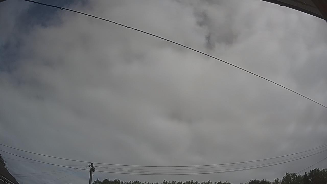 20260727_101442_cam2.jpg