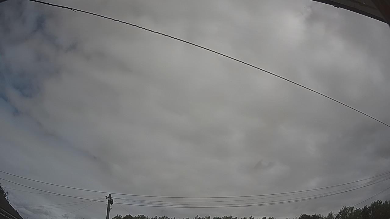 20260727_103739_cam2.jpg