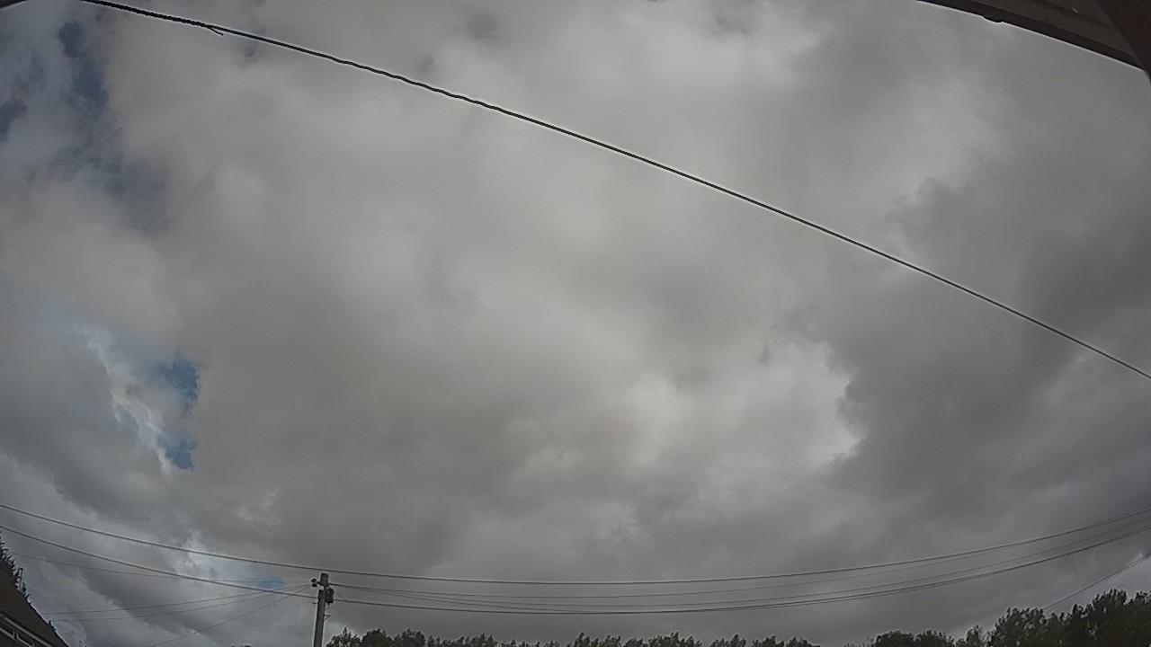20260727_110002_cam2.jpg