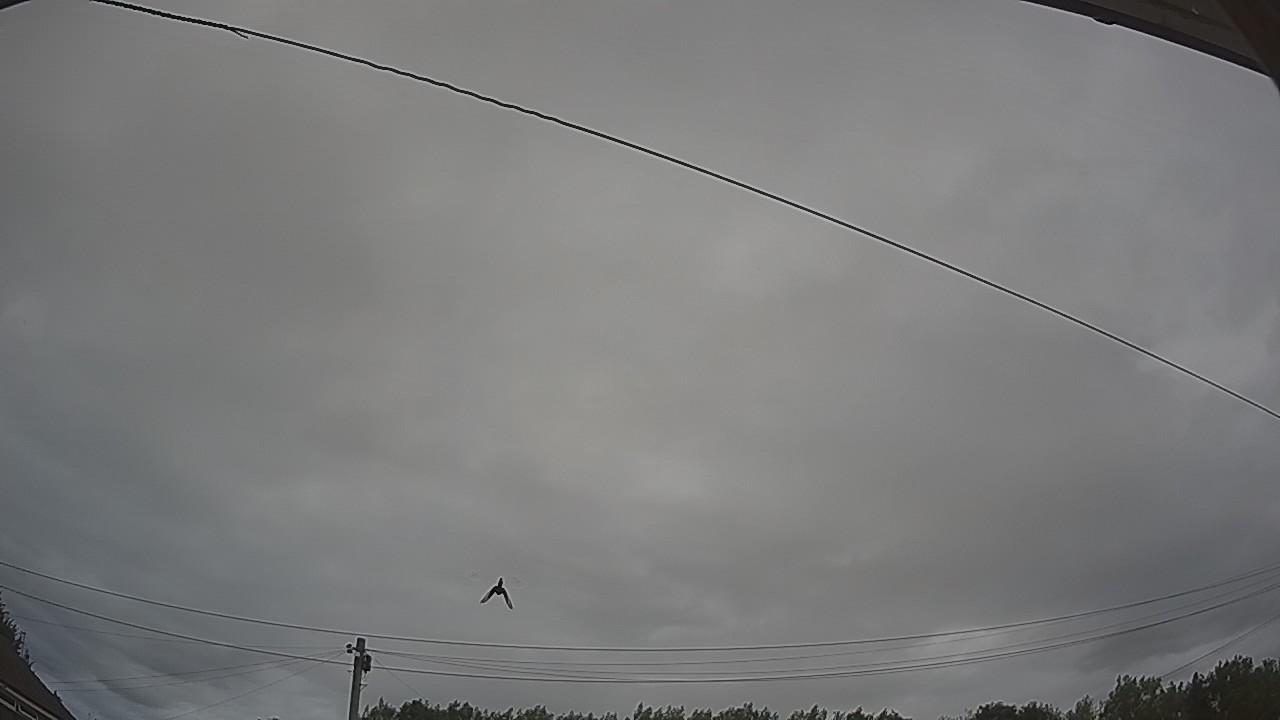 20260727_145452_cam2.jpg