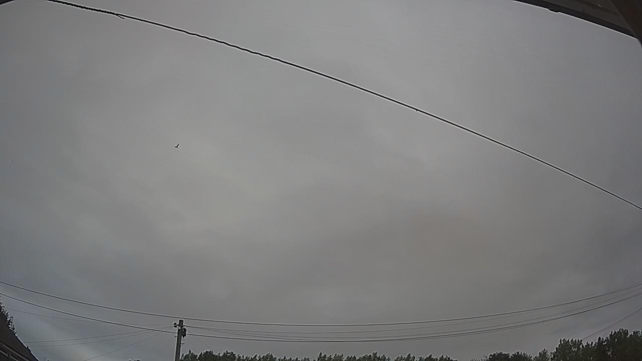 20260727_182317_cam2.jpg
