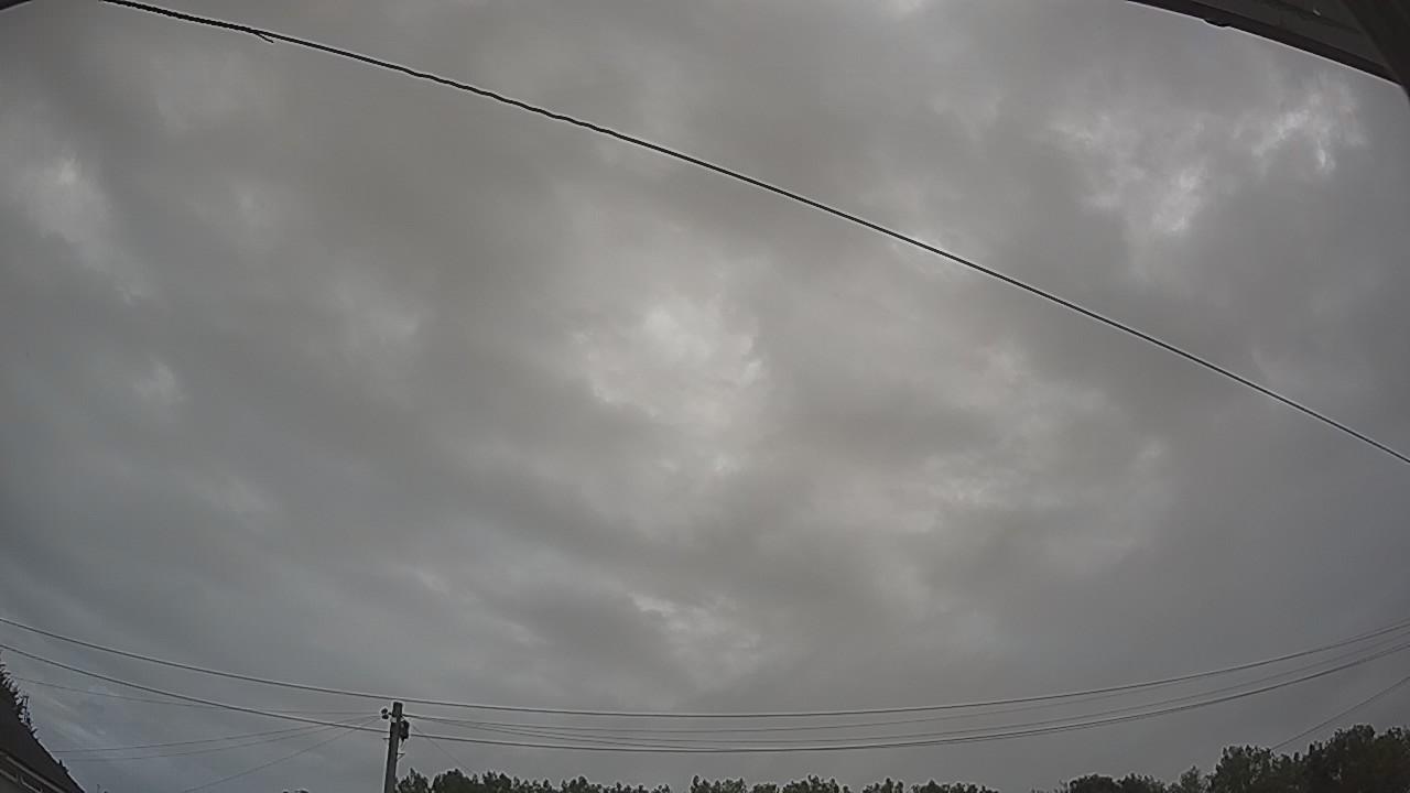 20260728_064913_cam2.jpg