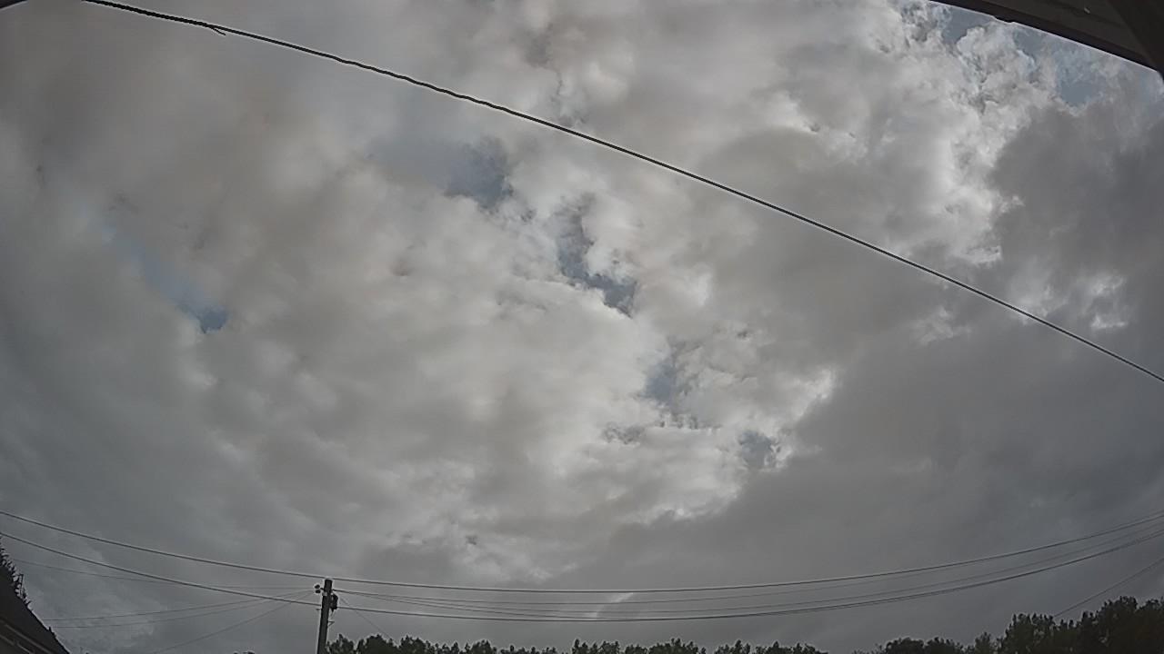 20260728_074236_cam2.jpg