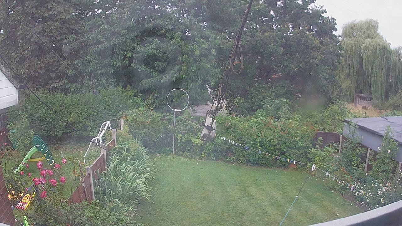 20260728_074636_cam1.jpg
