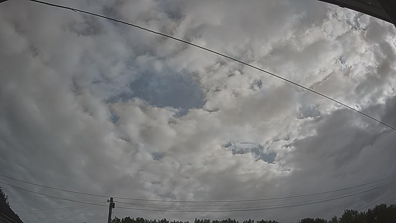 20260728_074637_cam2.jpg