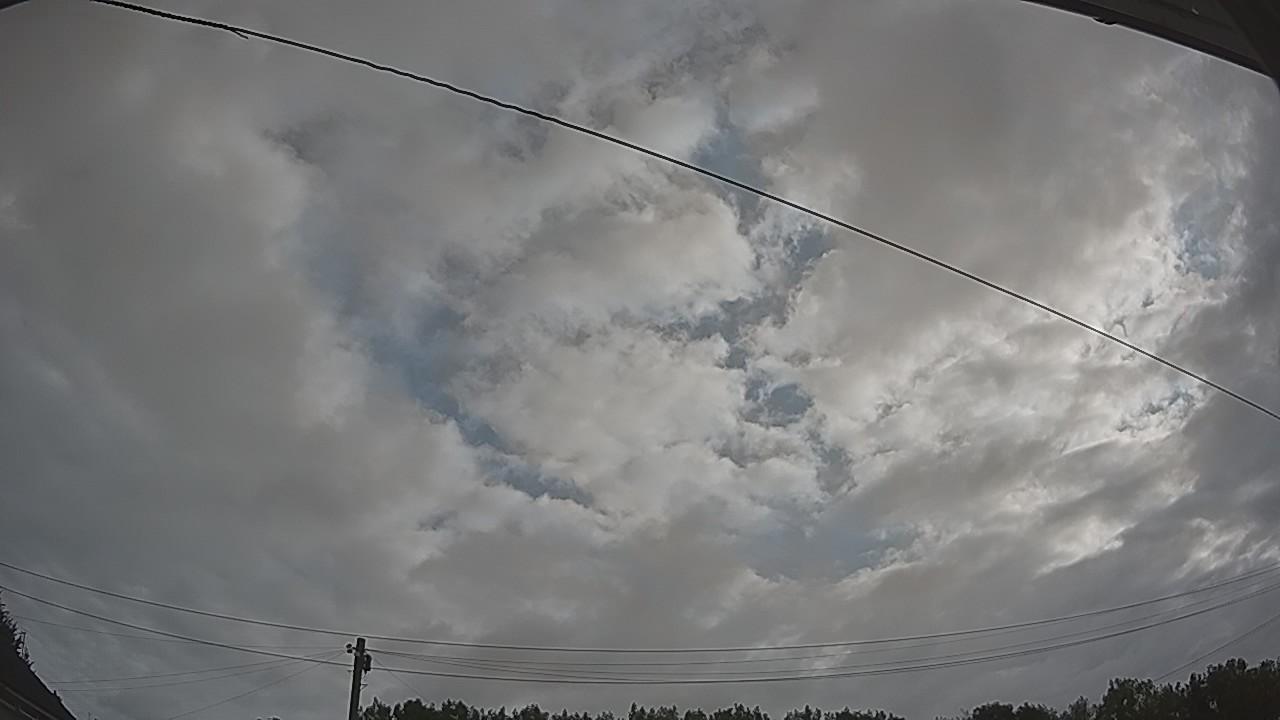 20260728_075037_cam2.jpg