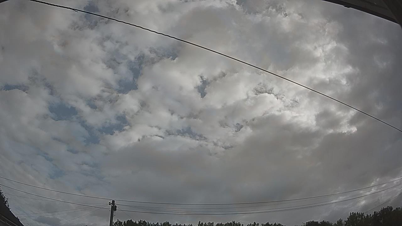20260728_080256_cam2.jpg