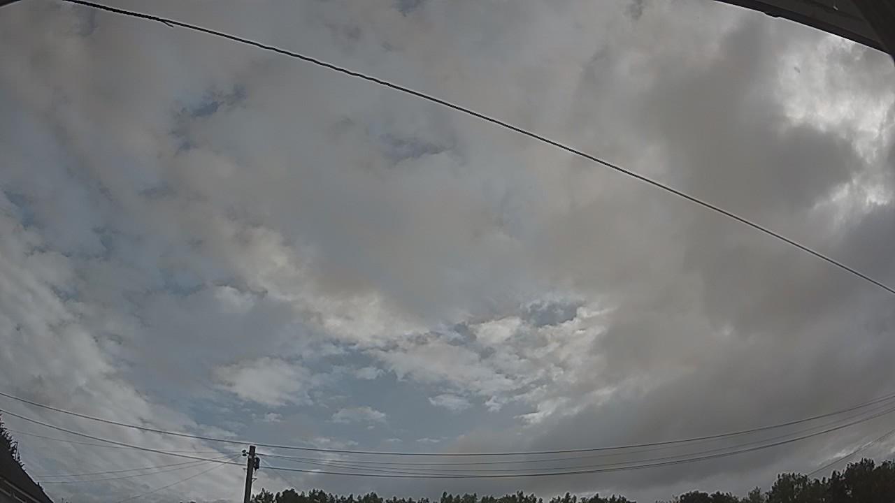 20260728_080704_cam2.jpg