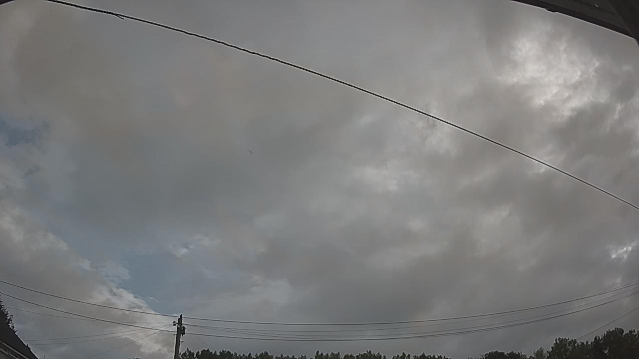 20260728_081113_cam2.jpg
