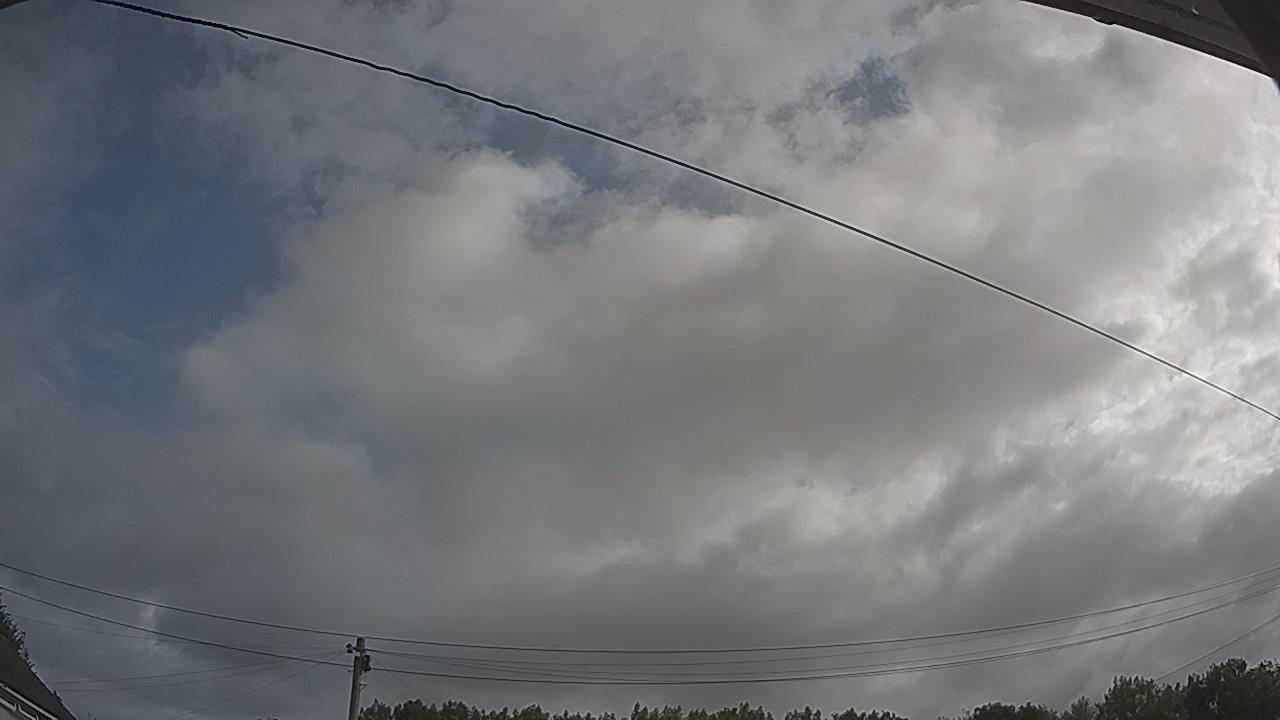 20260728_081931_cam2.jpg